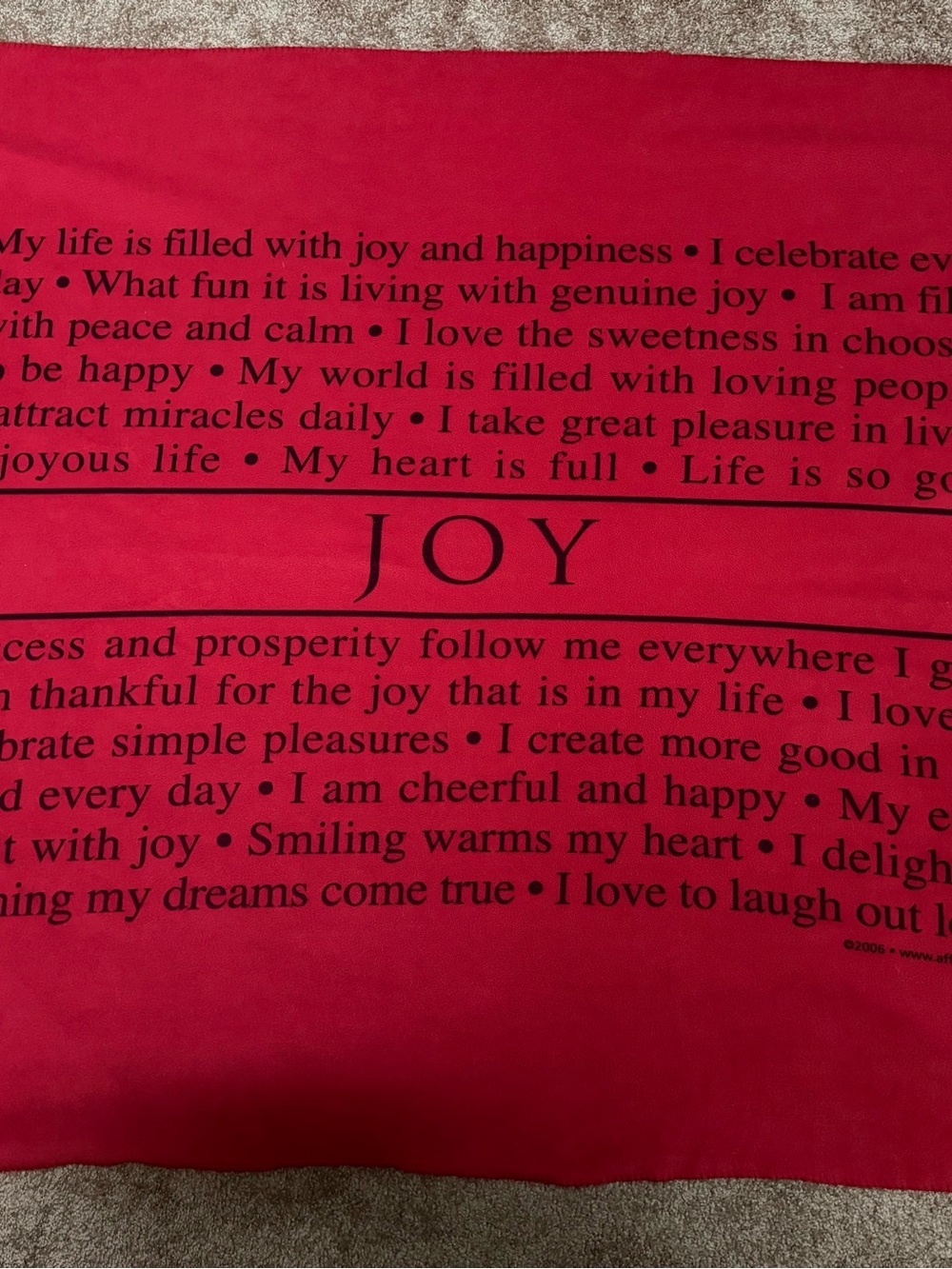 JOY Text Print Red Throw Blanket.